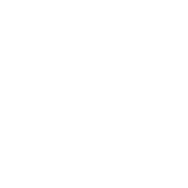 IT Relocation & Infrastructure Setup